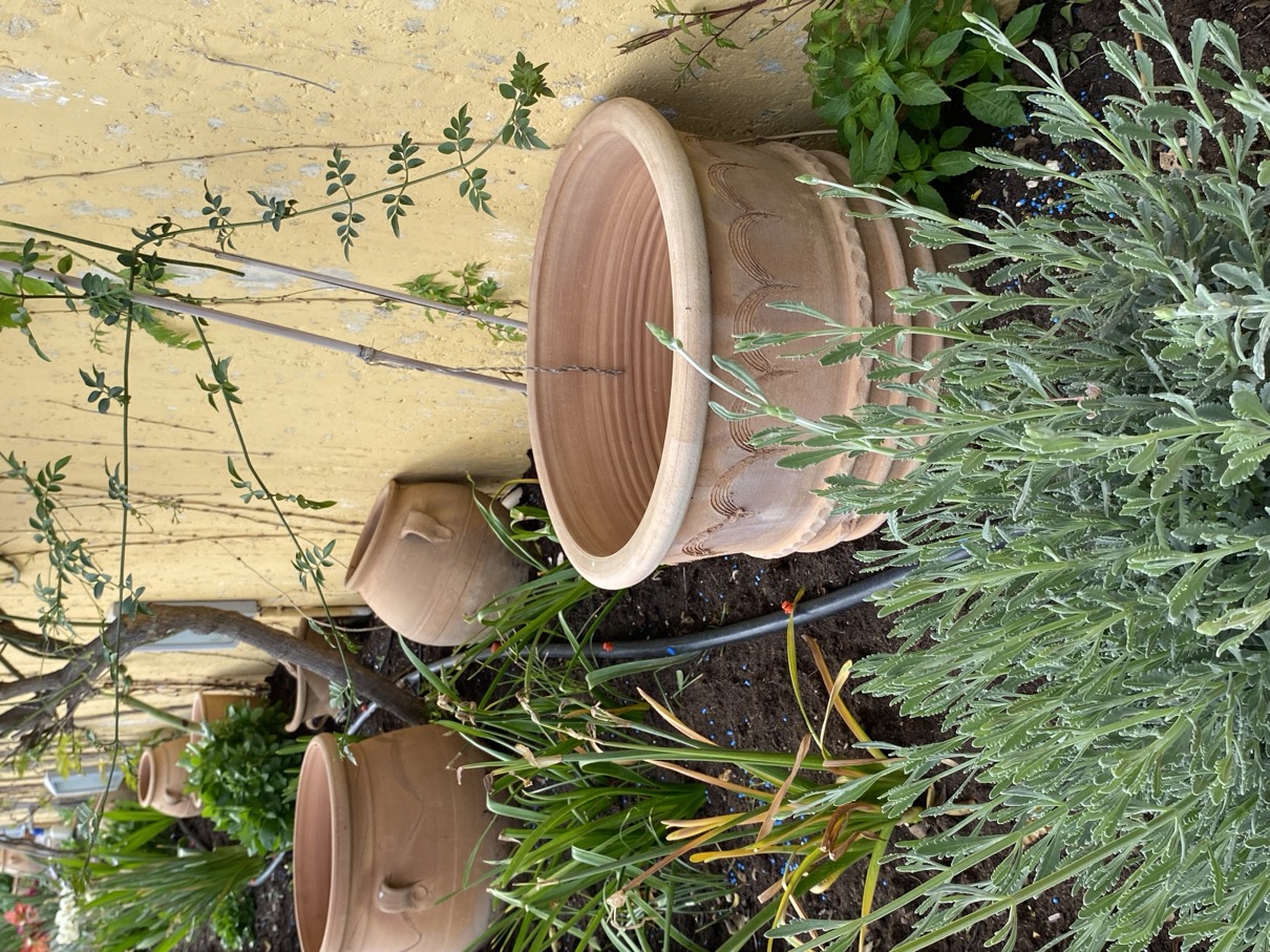 Garden Ideas